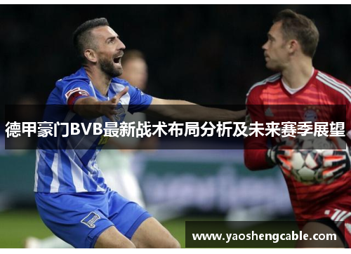 德甲豪门BVB最新战术布局分析及未来赛季展望