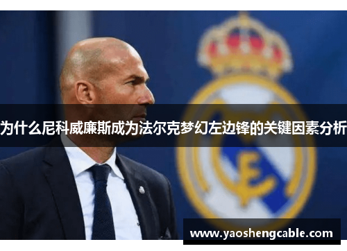 为什么尼科威廉斯成为法尔克梦幻左边锋的关键因素分析