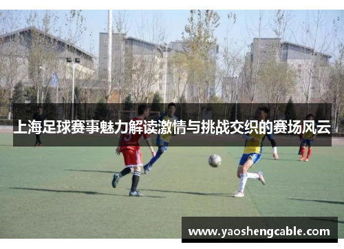 上海足球赛事魅力解读激情与挑战交织的赛场风云