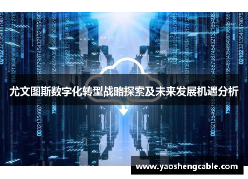 尤文图斯数字化转型战略探索及未来发展机遇分析 尤文图斯数字化转型战略探索及未来发展机遇分析