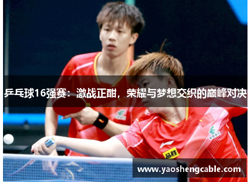 乒乓球16强赛：激战正酣，荣耀与梦想交织的巅峰对决