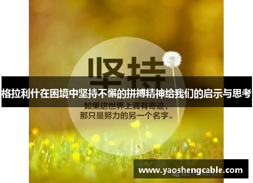 格拉利什在困境中坚持不懈的拼搏精神给我们的启示与思考