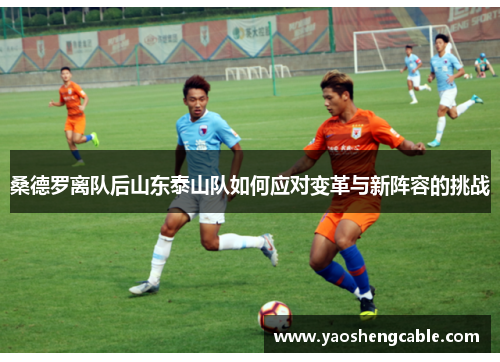 桑德罗离队后山东泰山队如何应对变革与新阵容的挑战