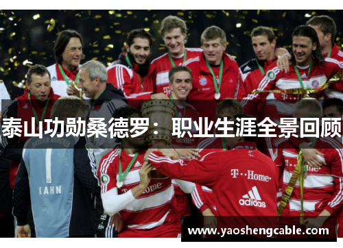 泰山功勋桑德罗：职业生涯全景回顾