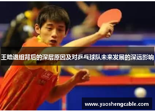 王皓退组背后的深层原因及对乒乓球队未来发展的深远影响