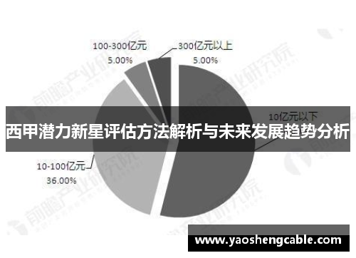 西甲潜力新星评估方法解析与未来发展趋势分析