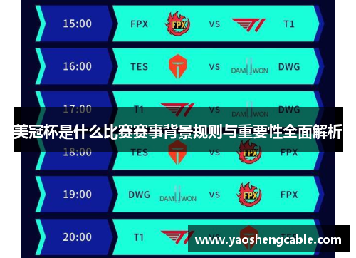 美冠杯是什么比赛赛事背景规则与重要性全面解析